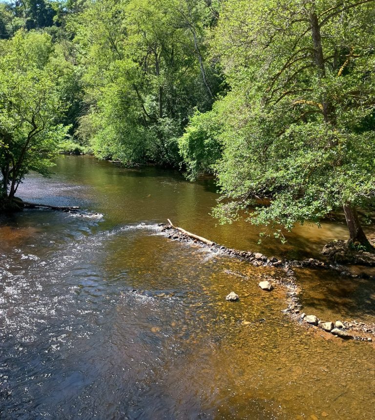 Flusslandschaft